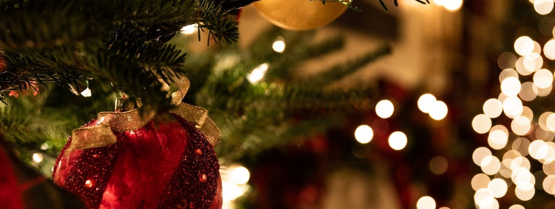 joululounas catering (2)